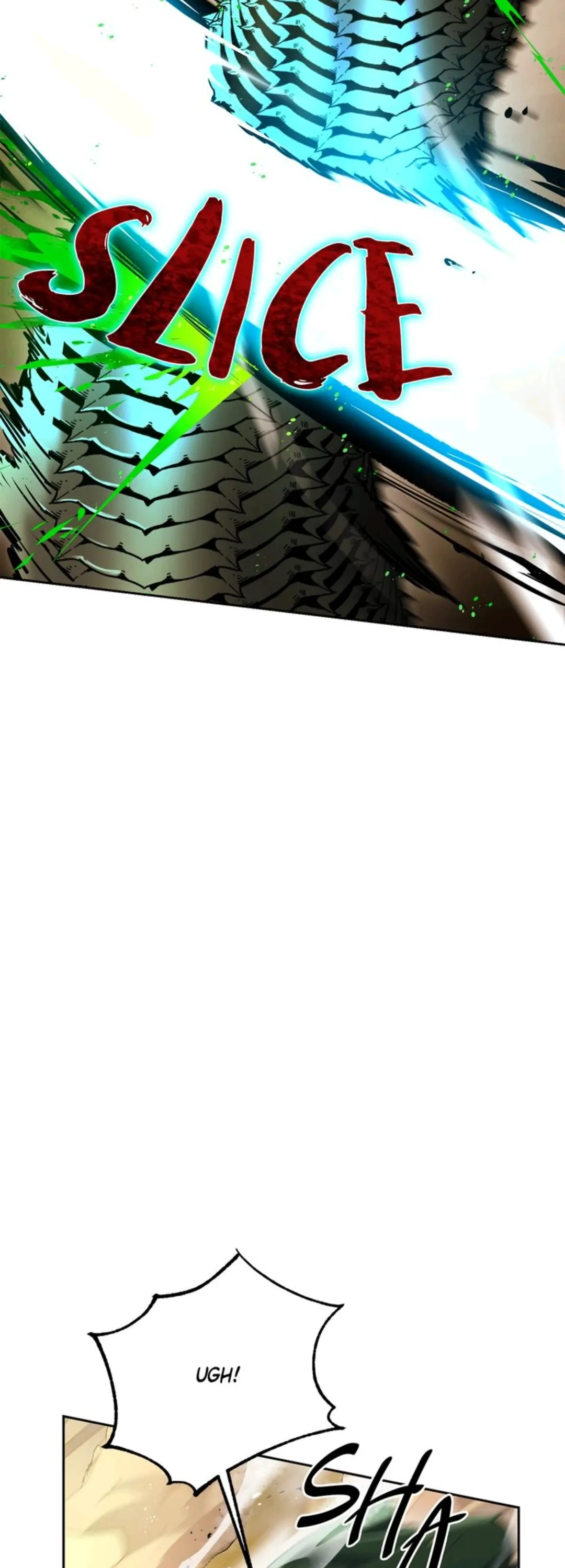 7980966 1080 3000 116560